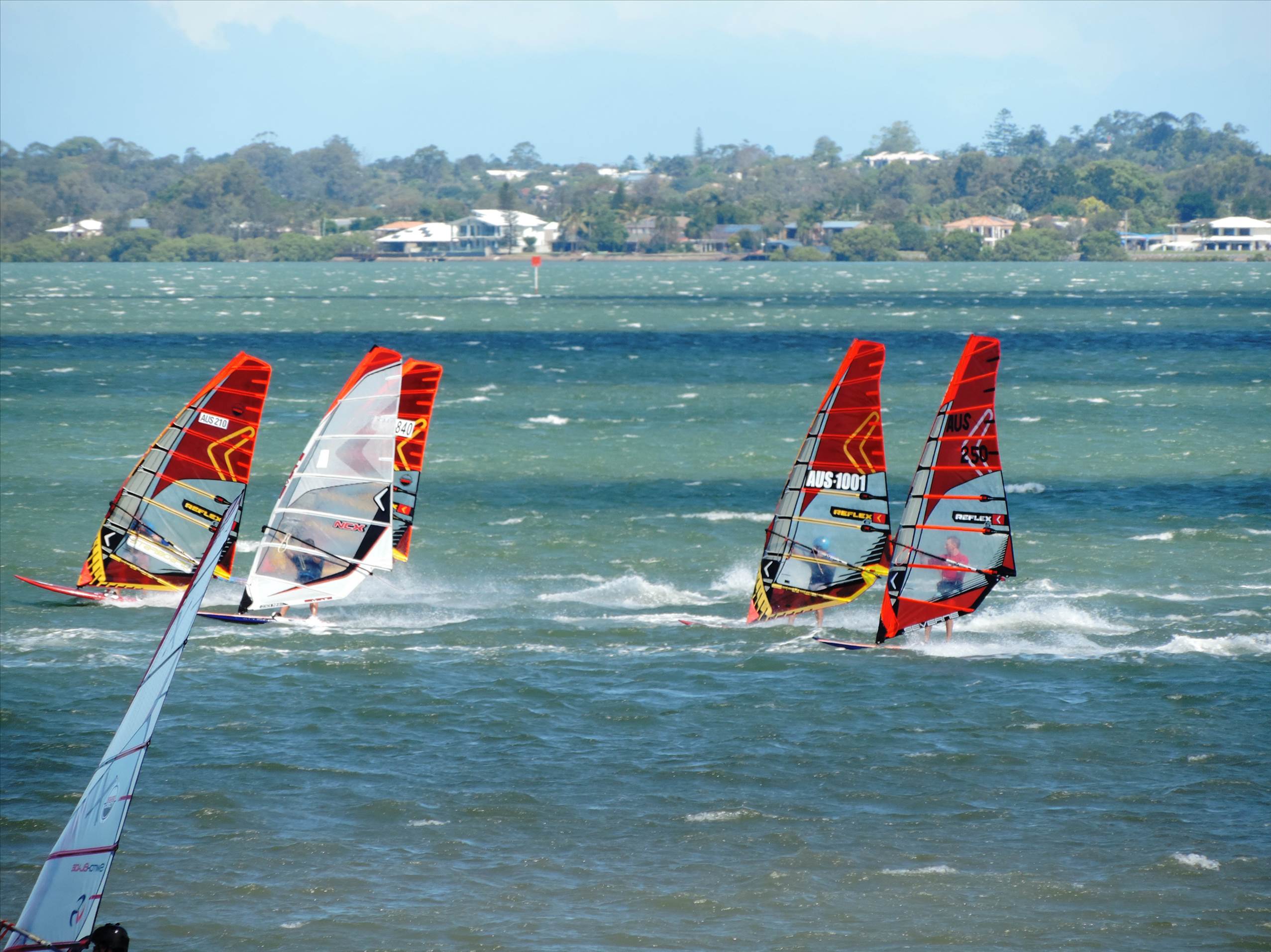 Bayside Slalom 15/11/2015