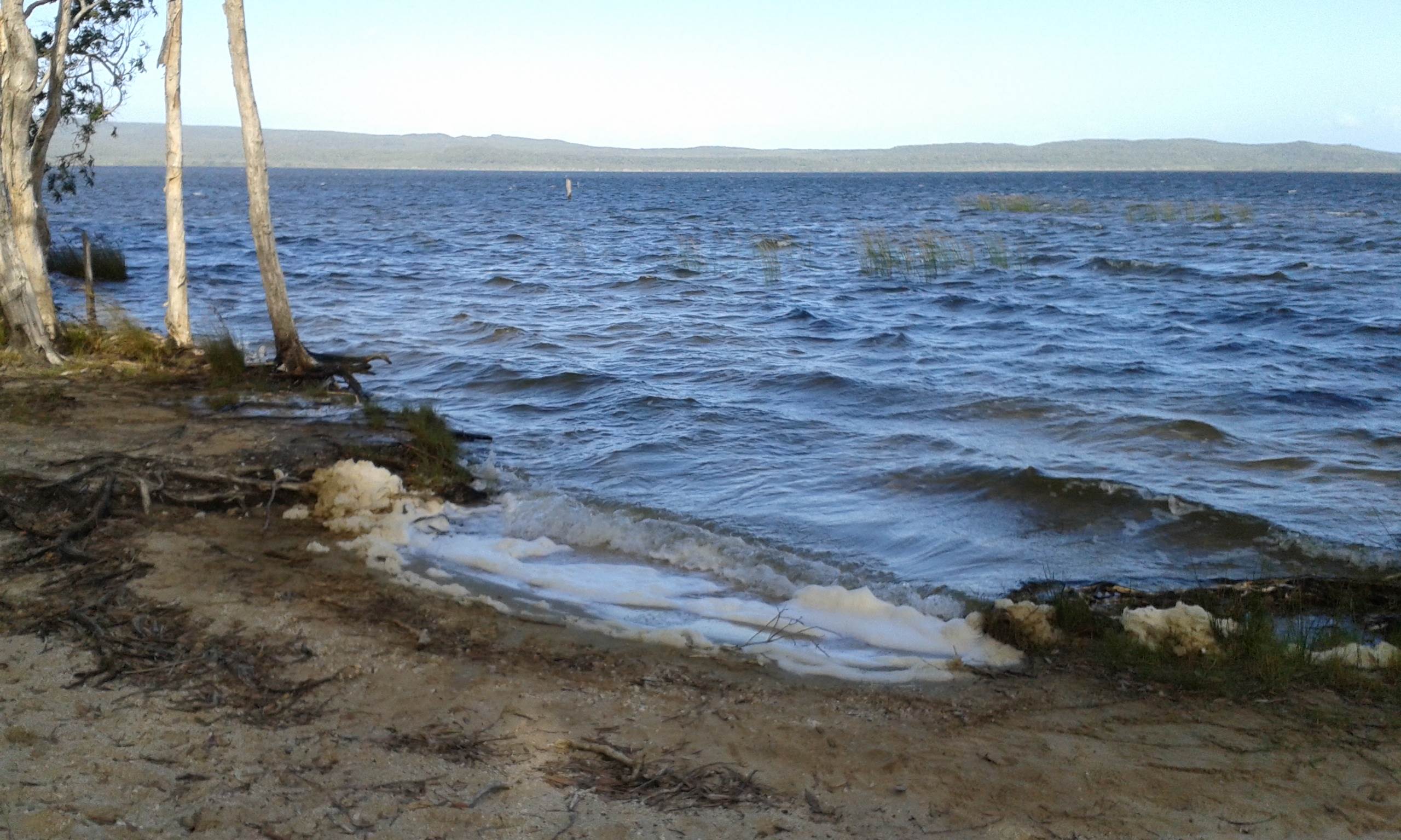 mill point shallow
