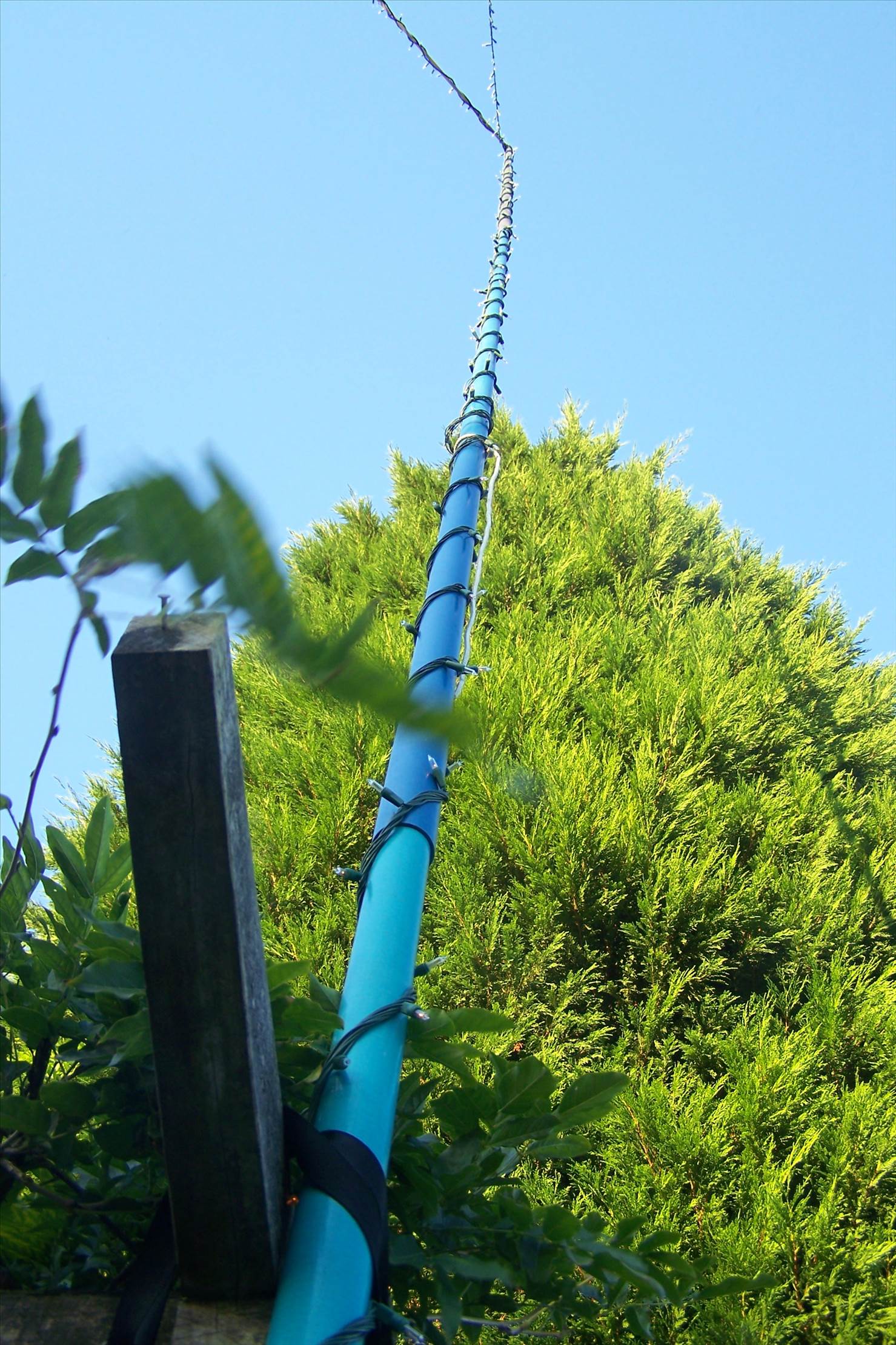 old Mast use