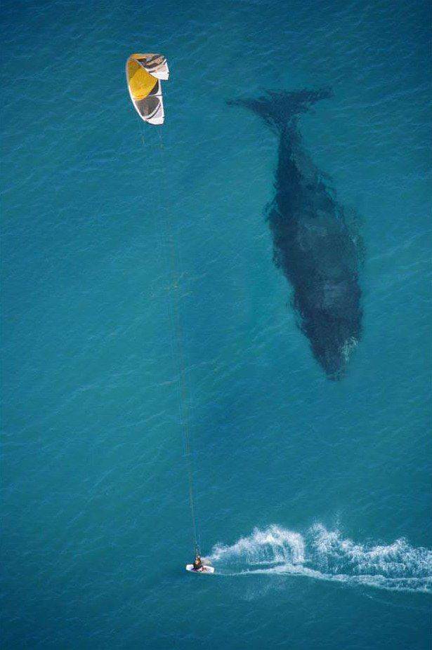 2012s most spine tingling photos so far 27