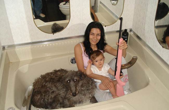 explain-the-image-56