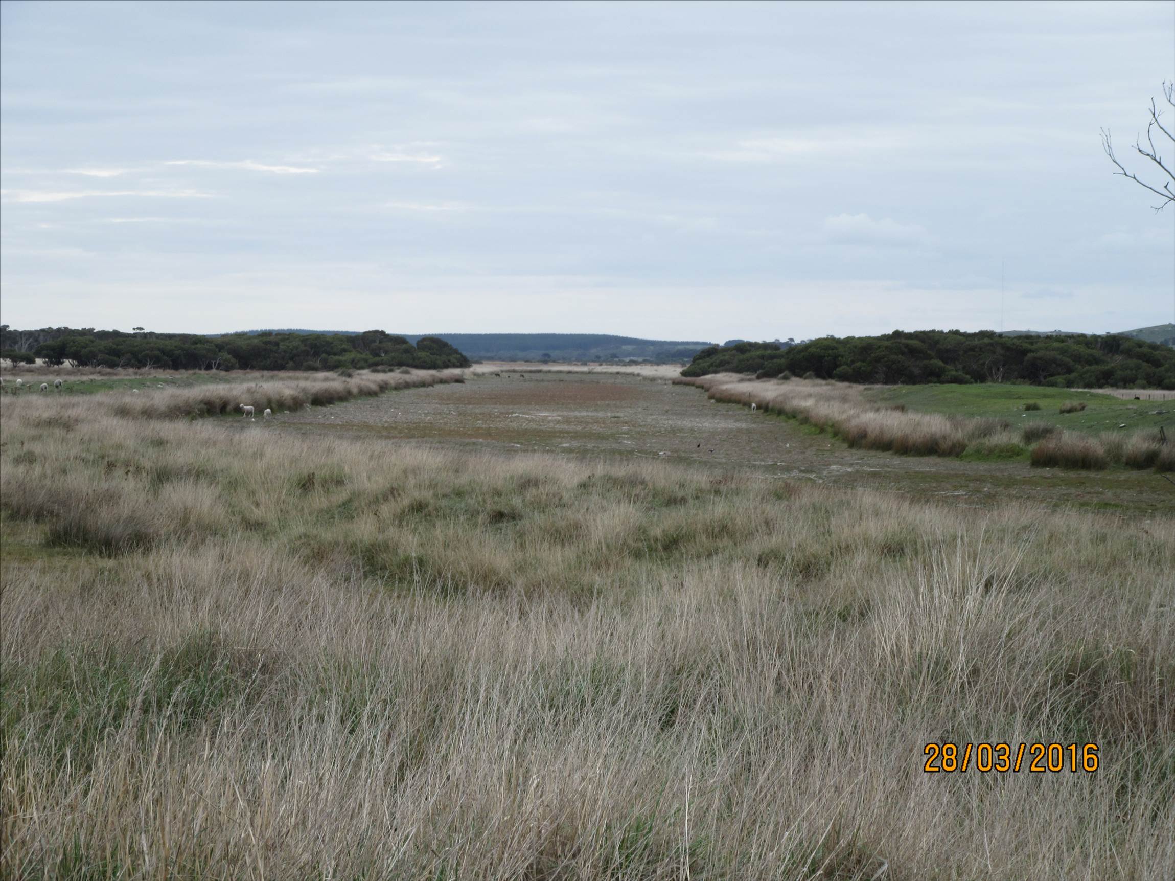 lake frome drain