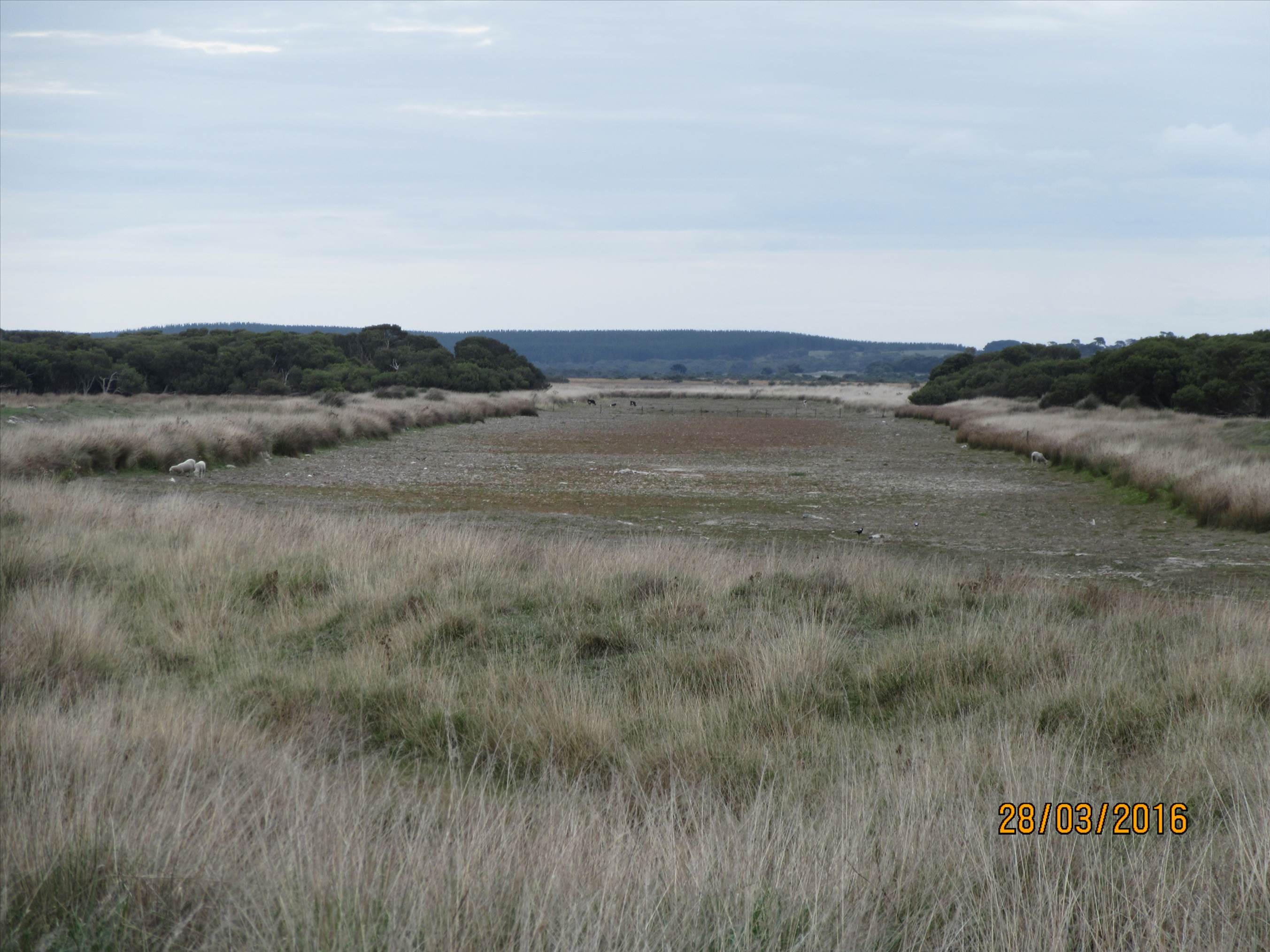 lake frome drain