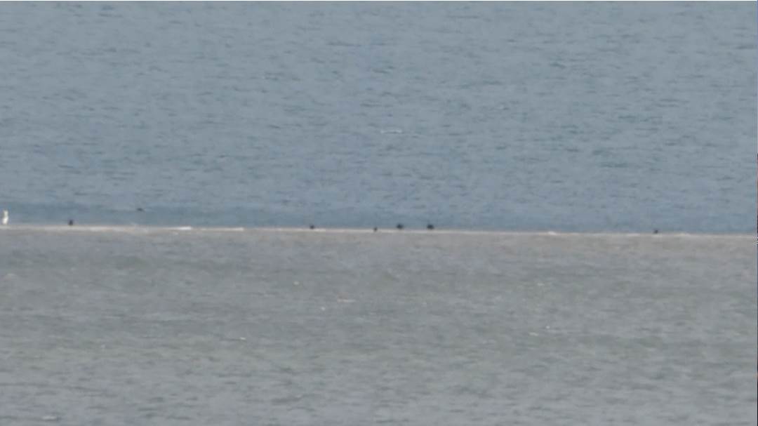 Goodwin Sands barely exposed