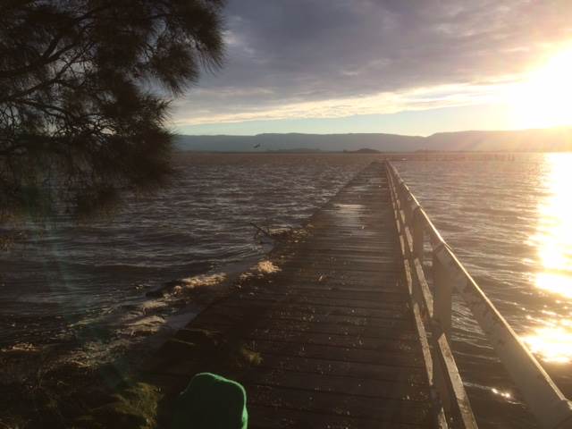 Primbee after the king tide