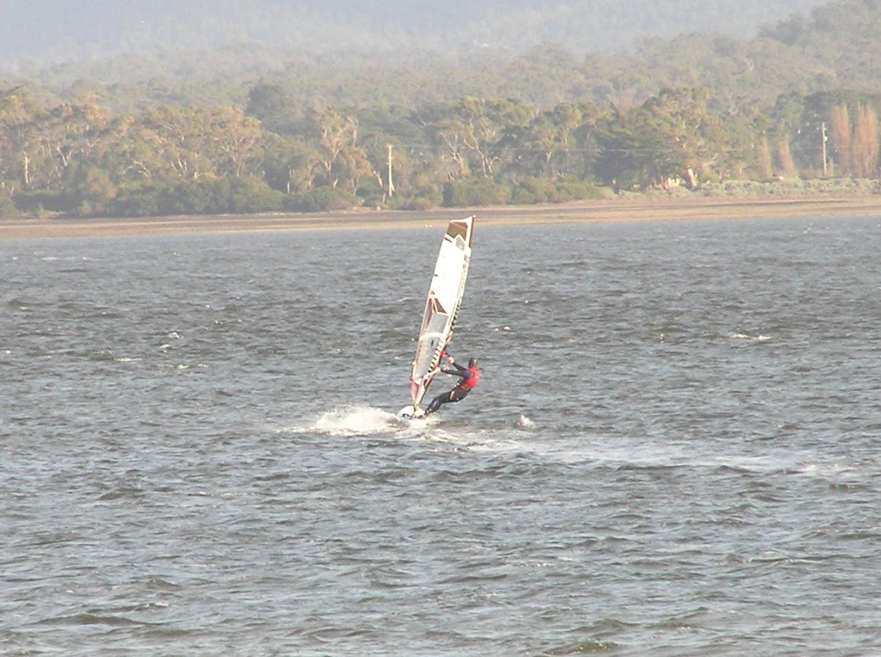 P1010017