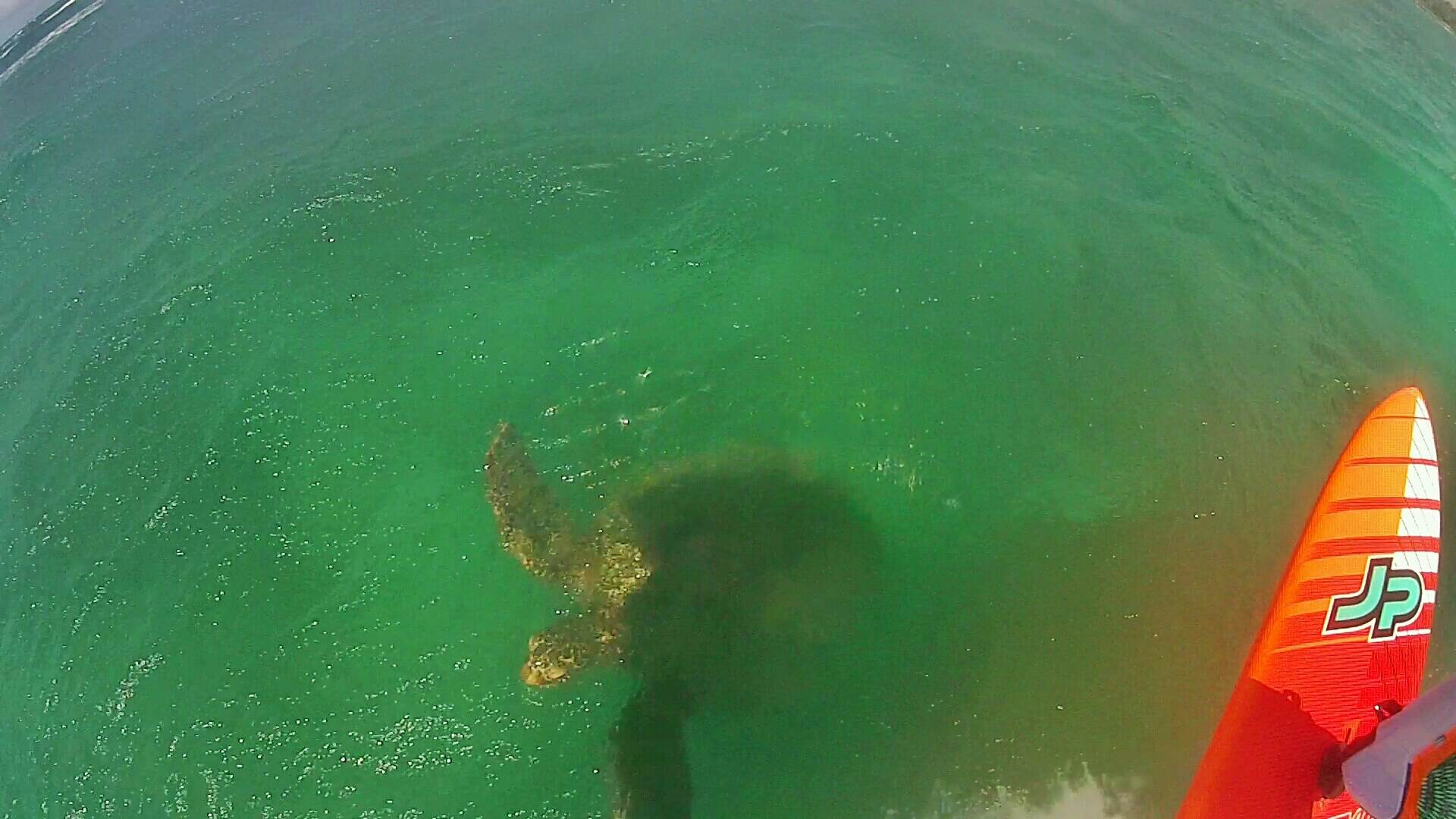 20160727182455-02