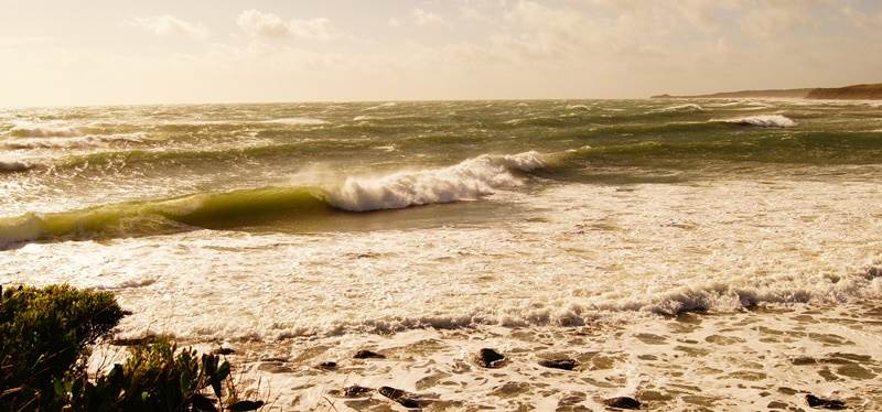 sandbar