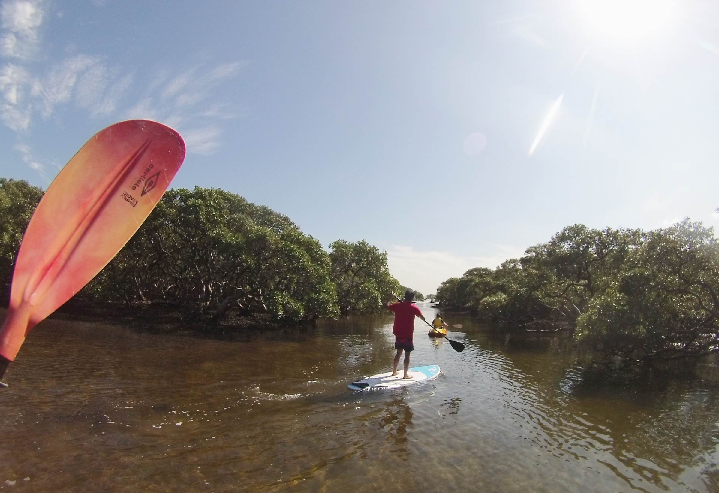SSH kids Suping