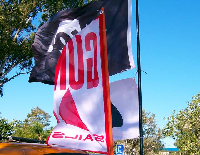 WindWanderers Bribie Meet