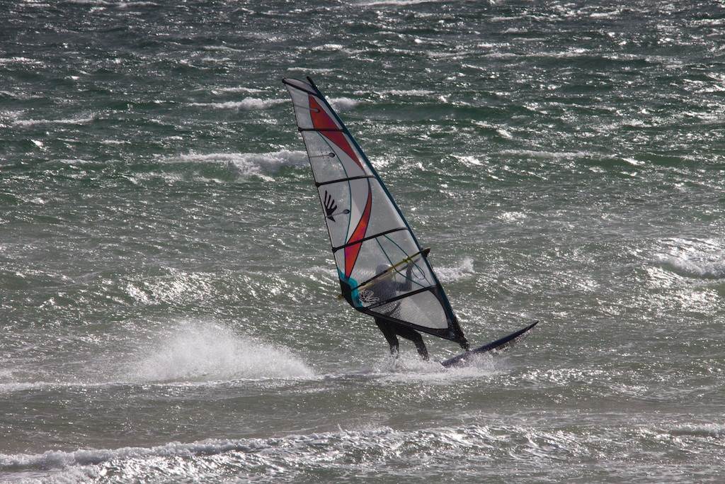 Windy