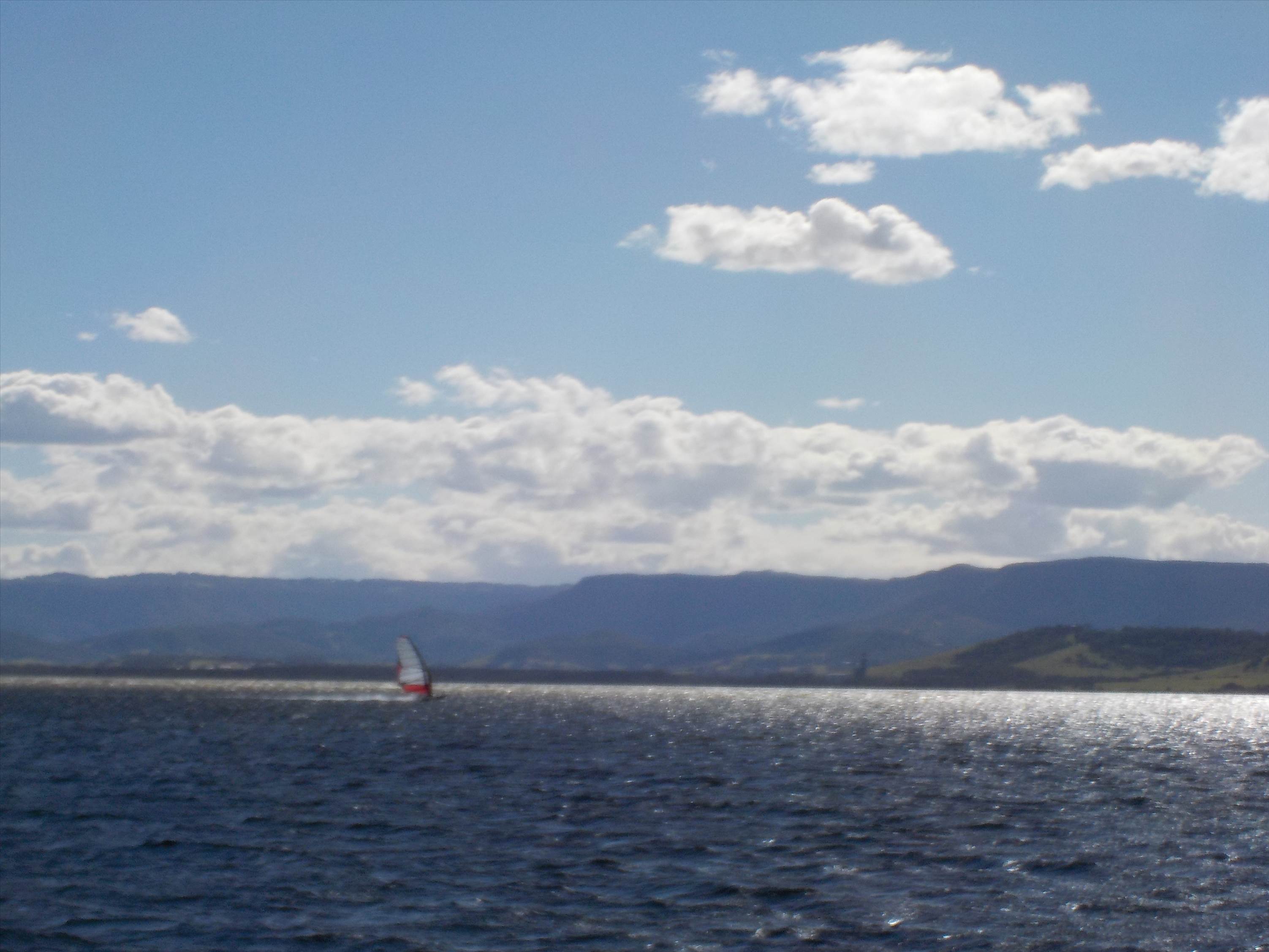 Illawara today
