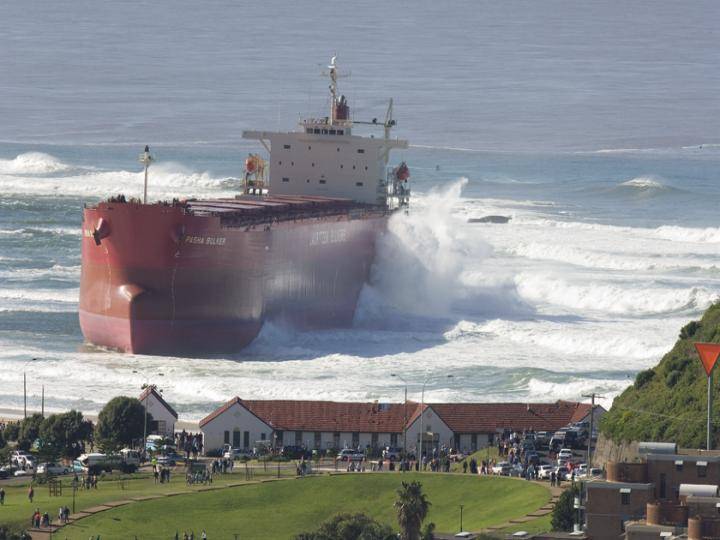 Pasha Bulker pics