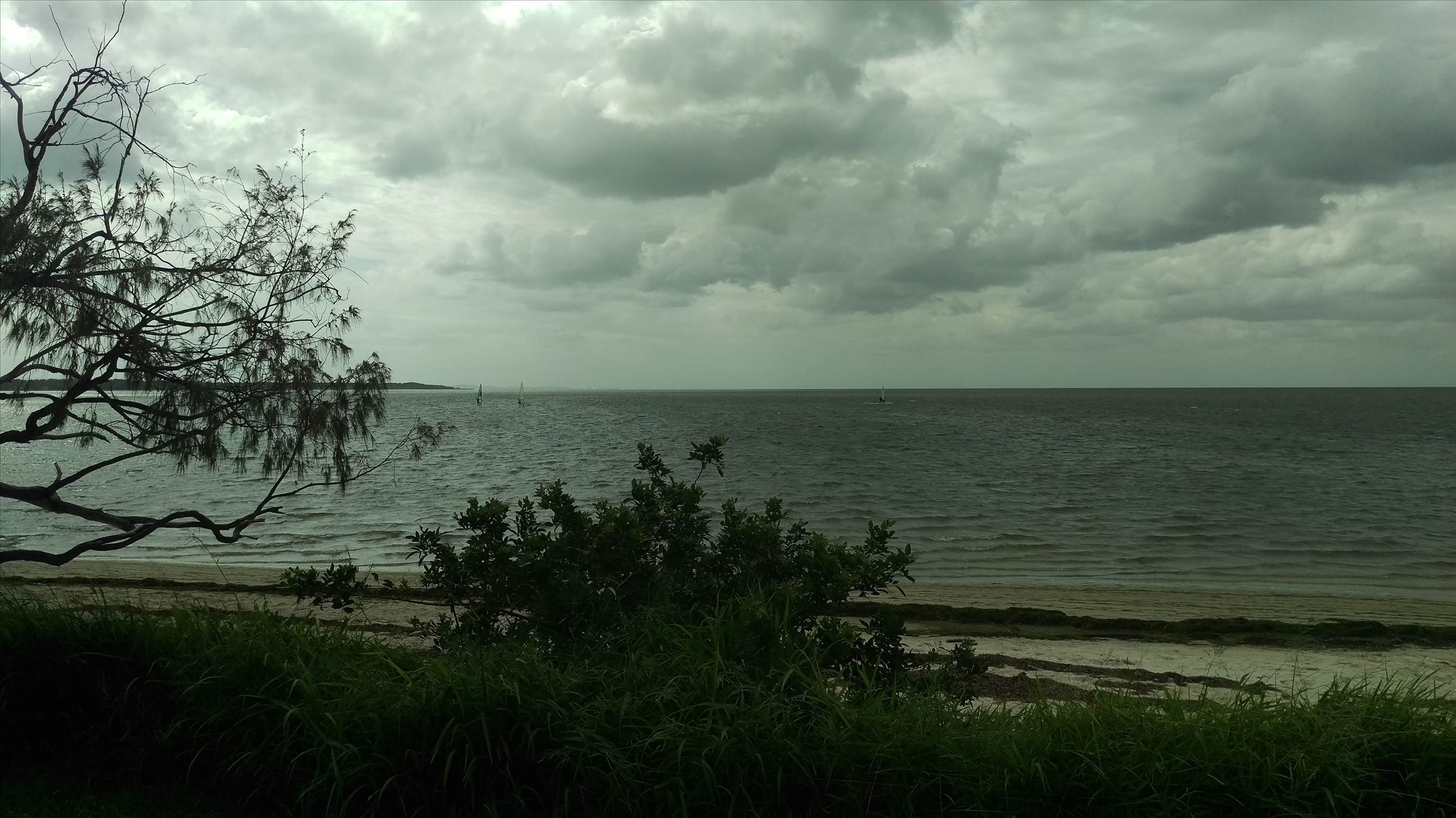 IMAG0117