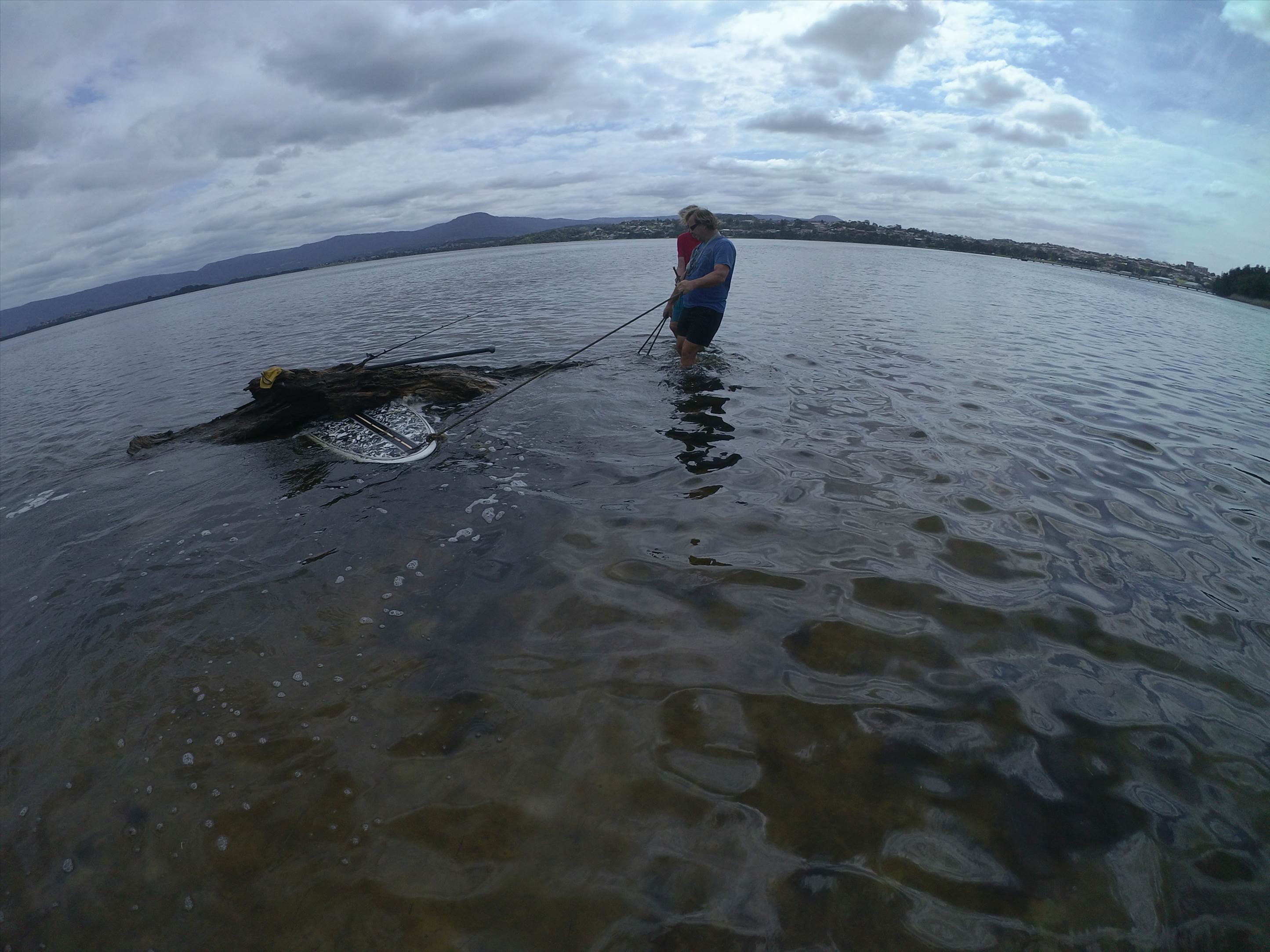 Cleaning Lake Illawarra