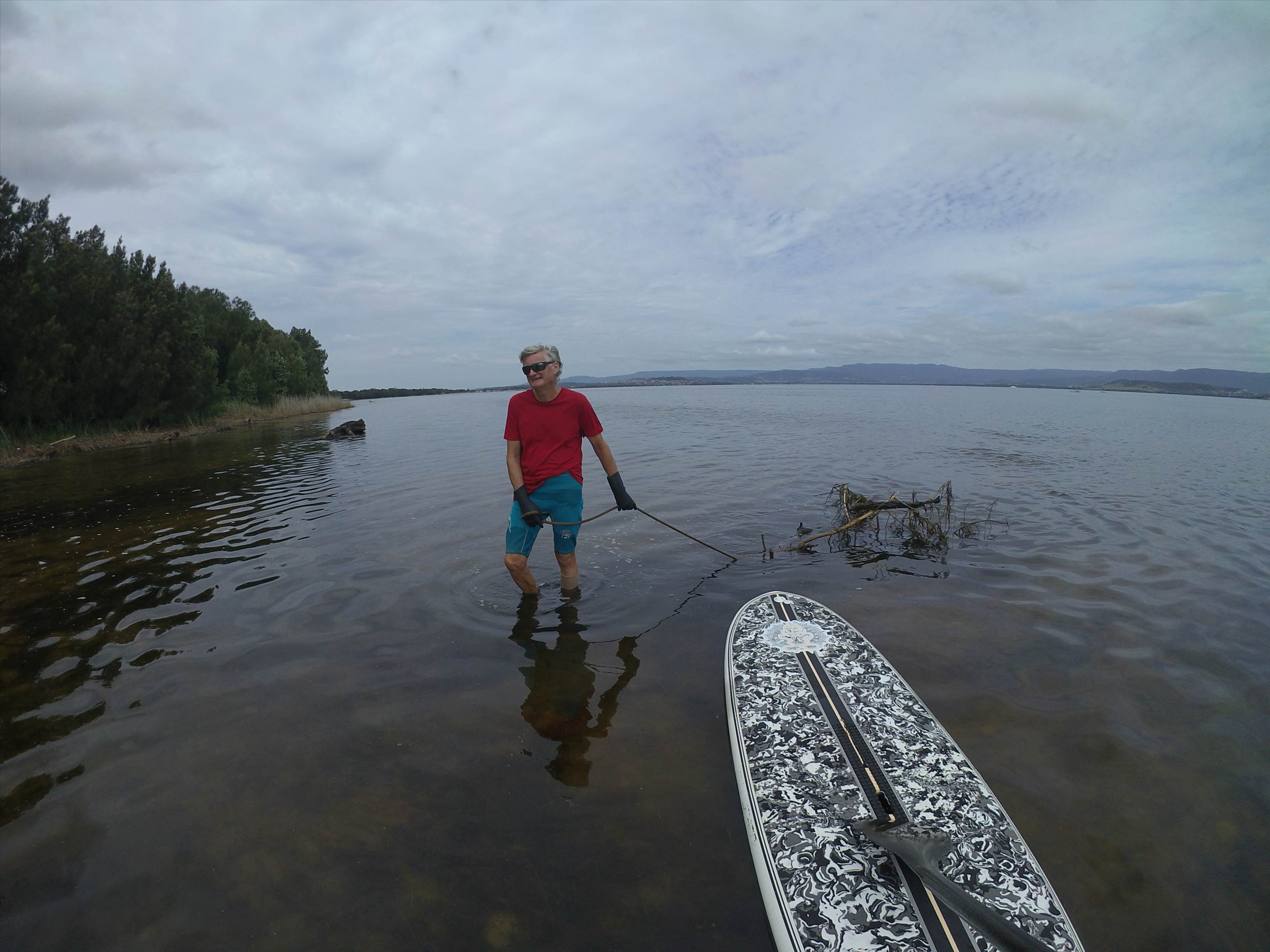 Cleaning Lake Illawarra