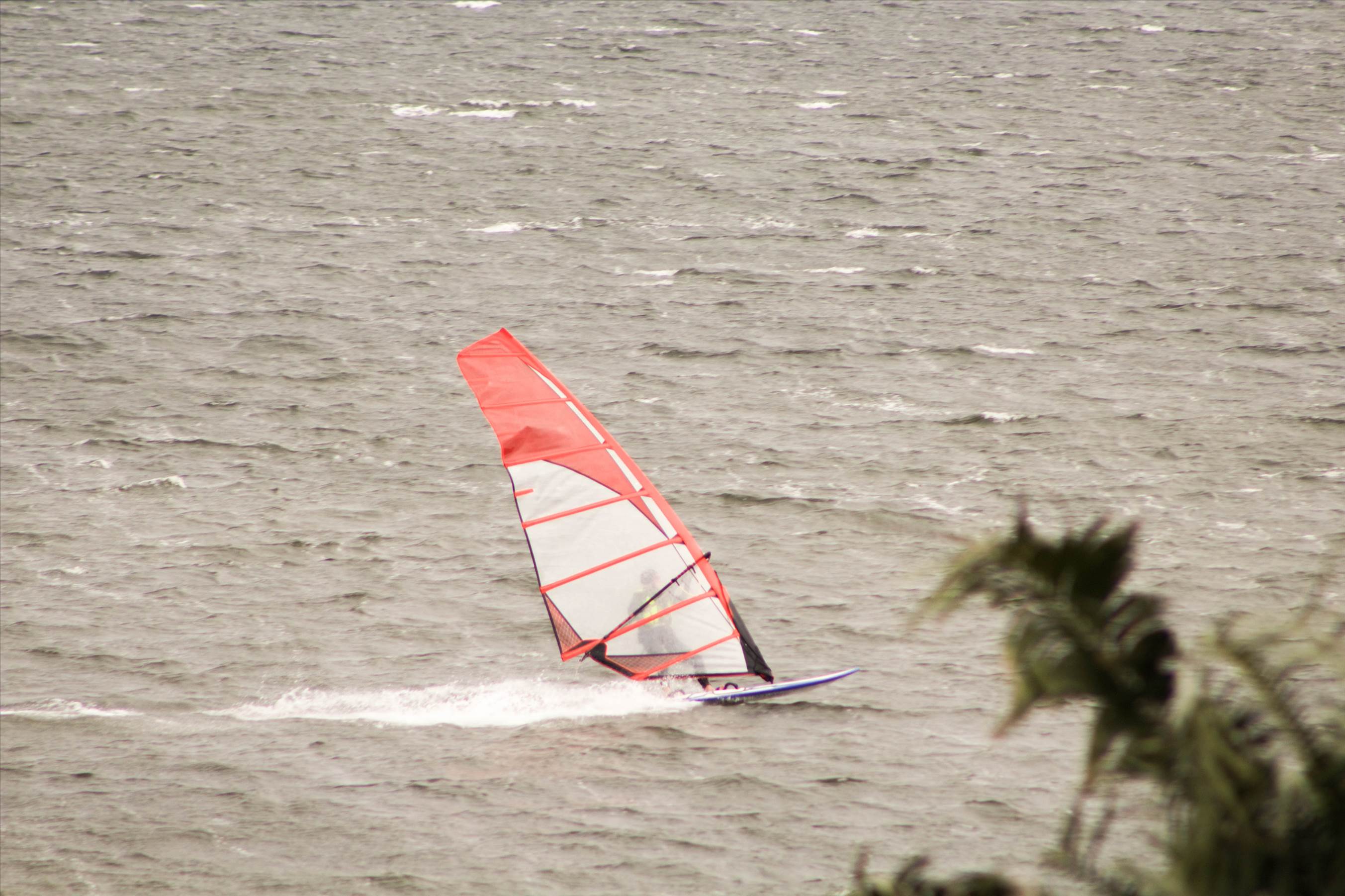 15-7-2017 Windsurfers