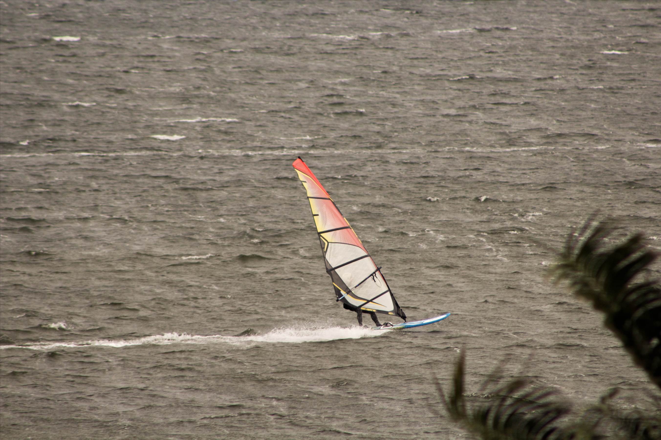 15-7-2017 Windsurfers