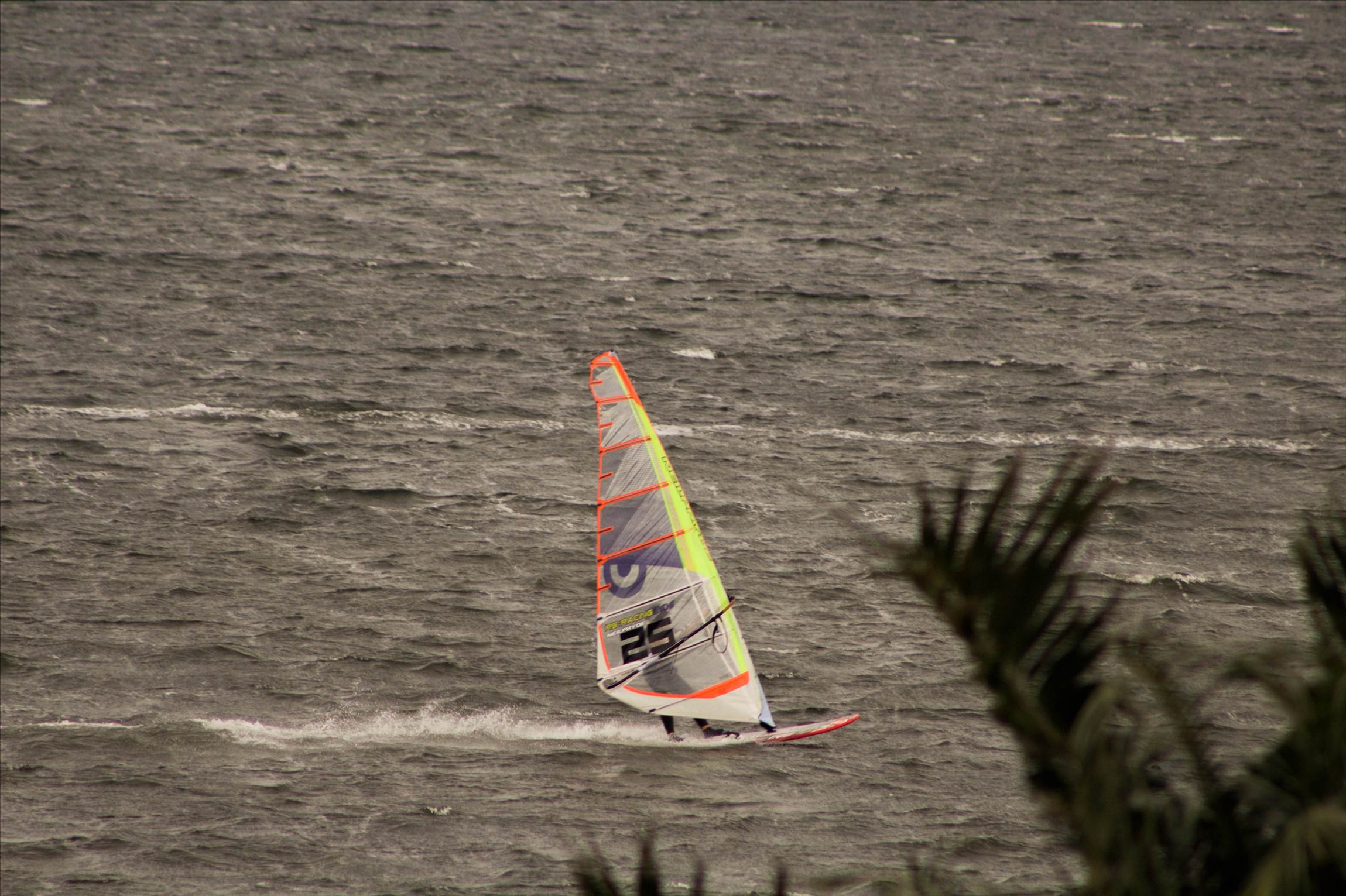 15-7-2017 Windsurfers