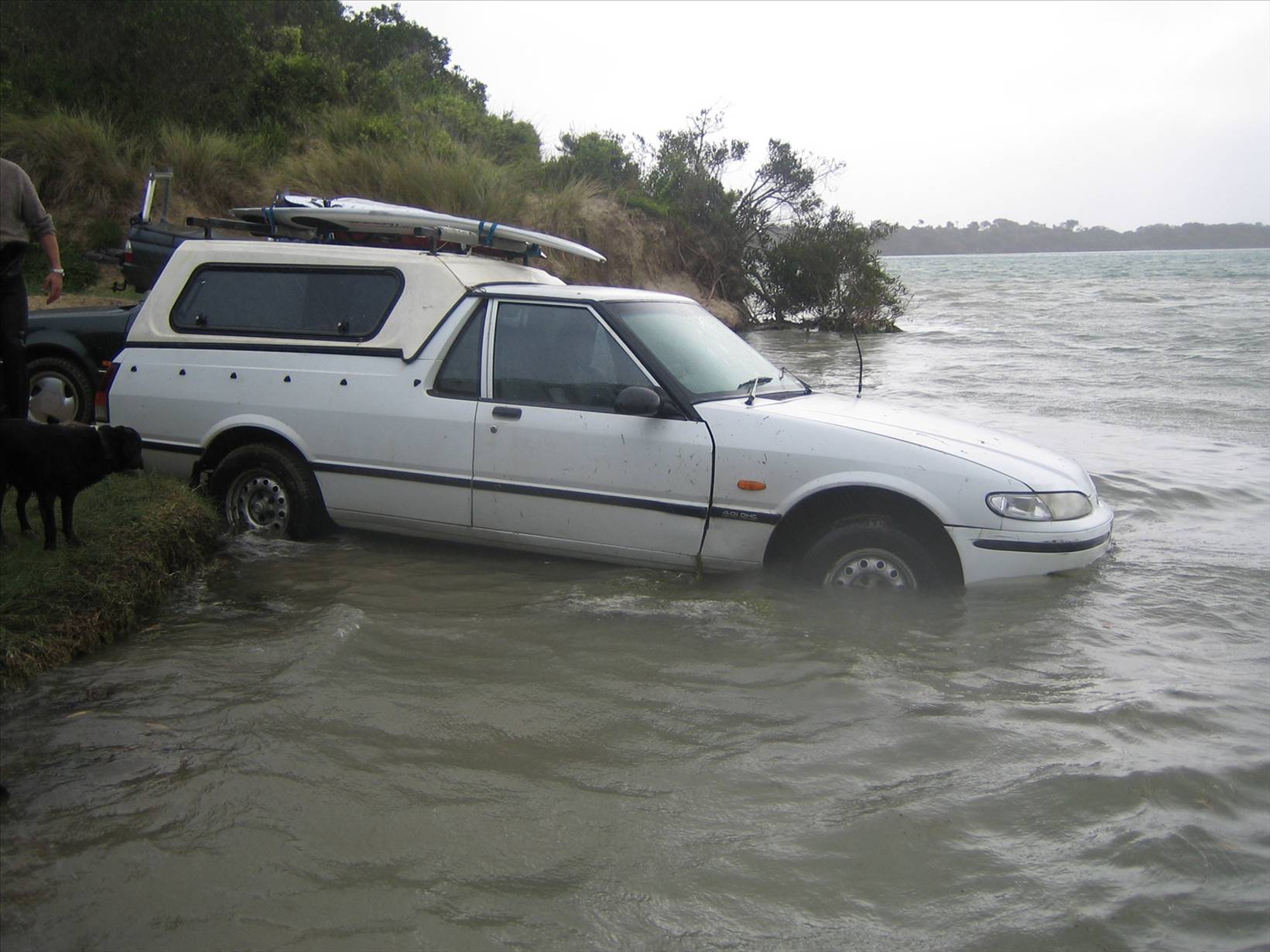 Real Tide Trouble