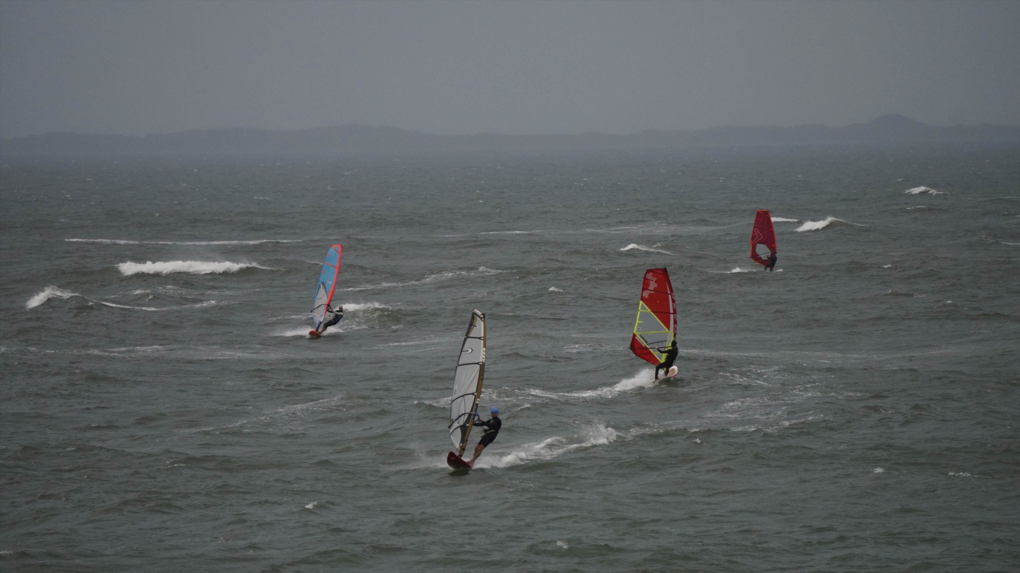  DSC1779