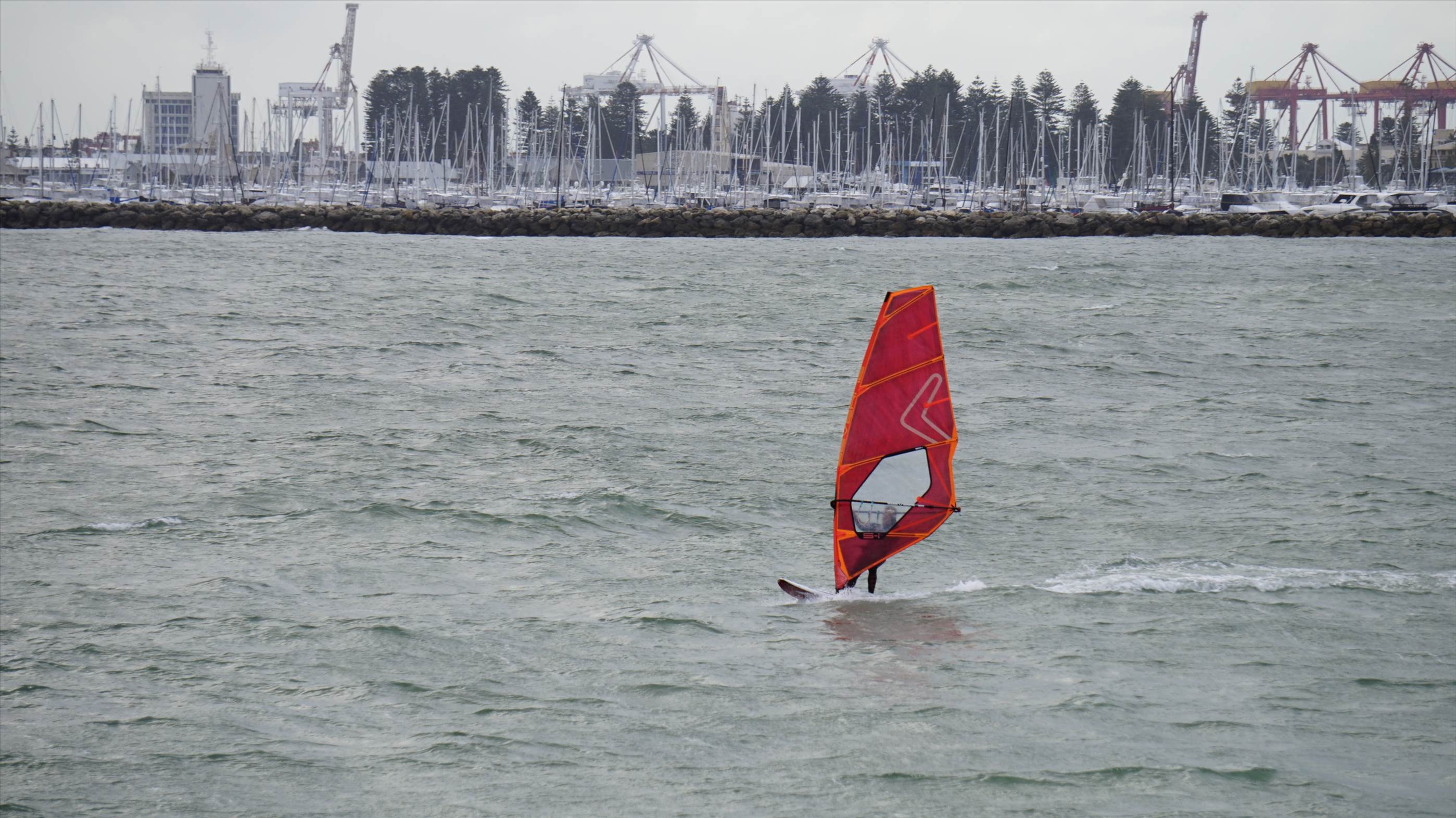  DSC1703