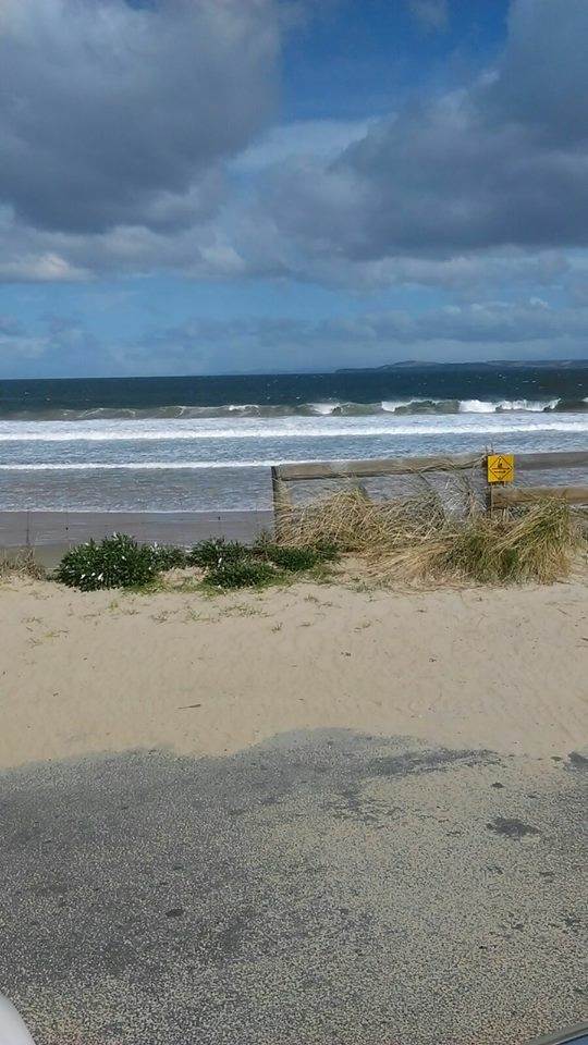 carlton today