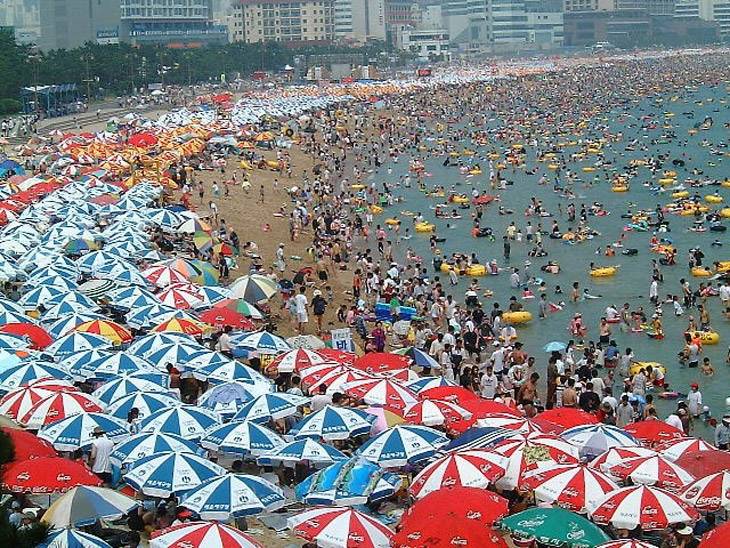 Windsurfing in Korea