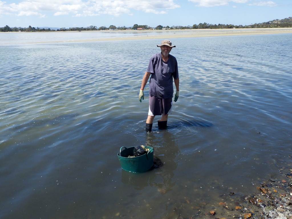 Oyster Clean Up