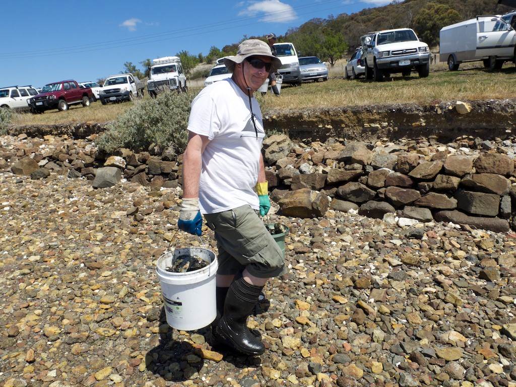 Oyster Clean Up