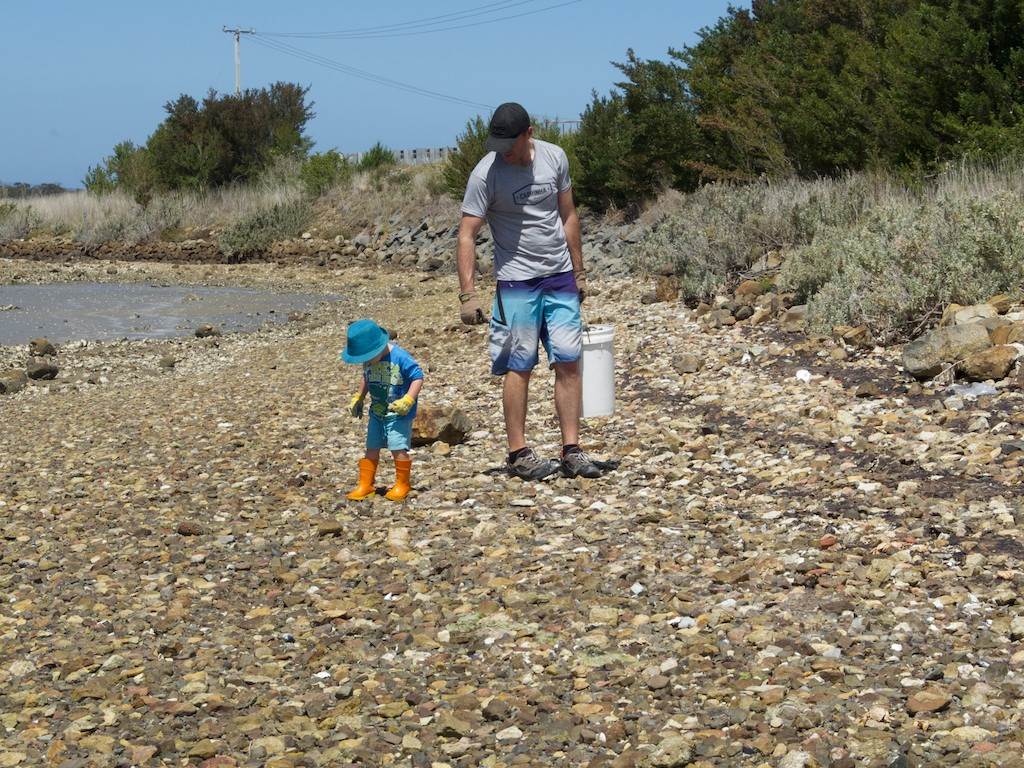 Oyster Clean Up