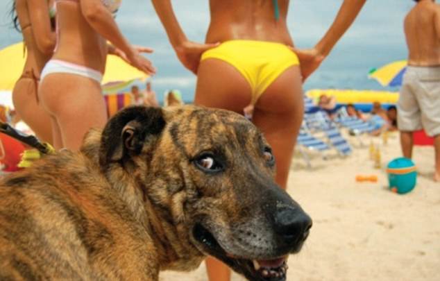 article-2112376-121605BF000005DC-682 634x405