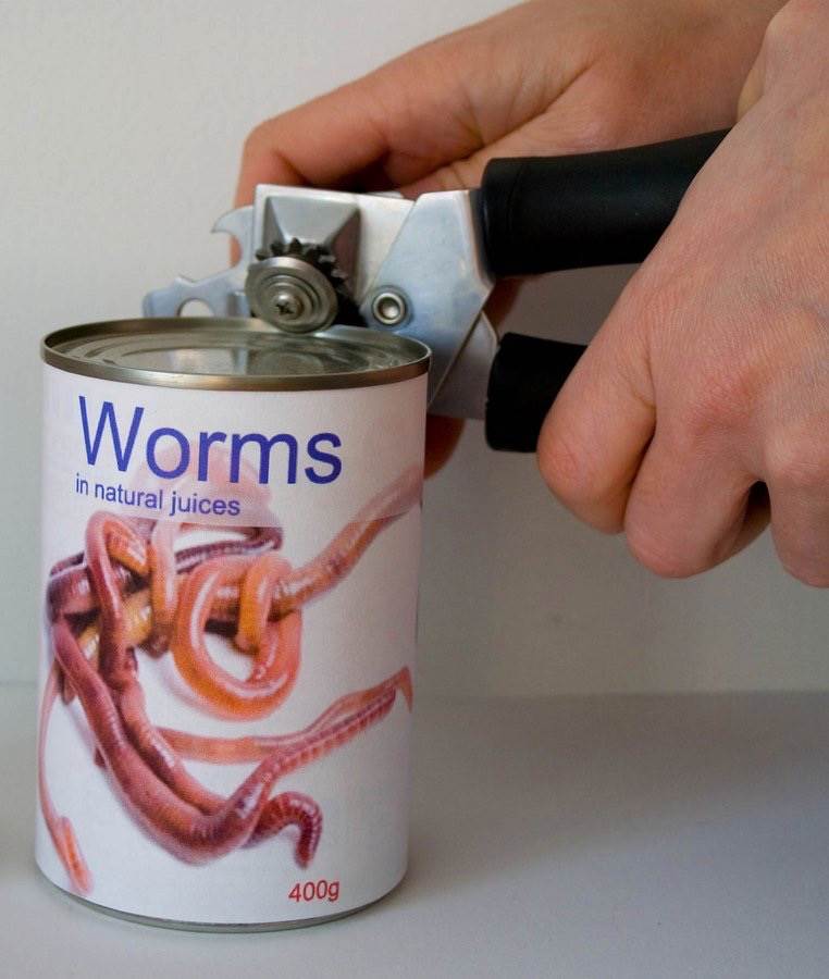 Can'o worms