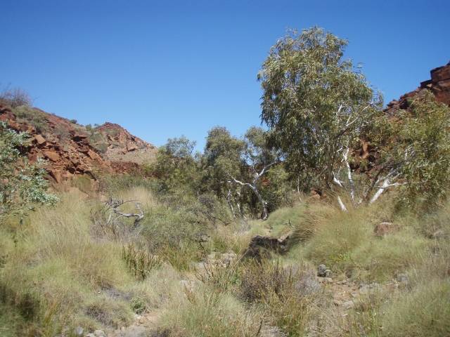 Near Hearsons Cove