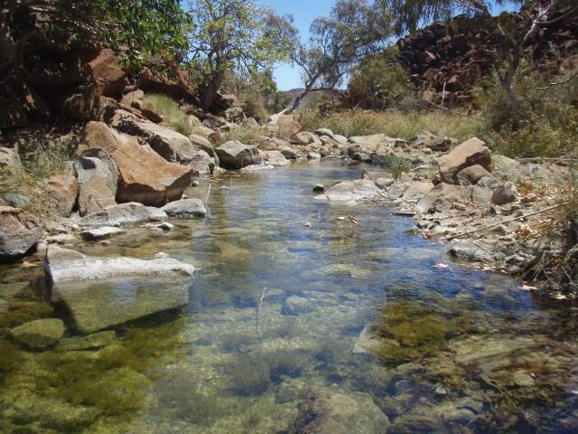 Near Hearsons Cove