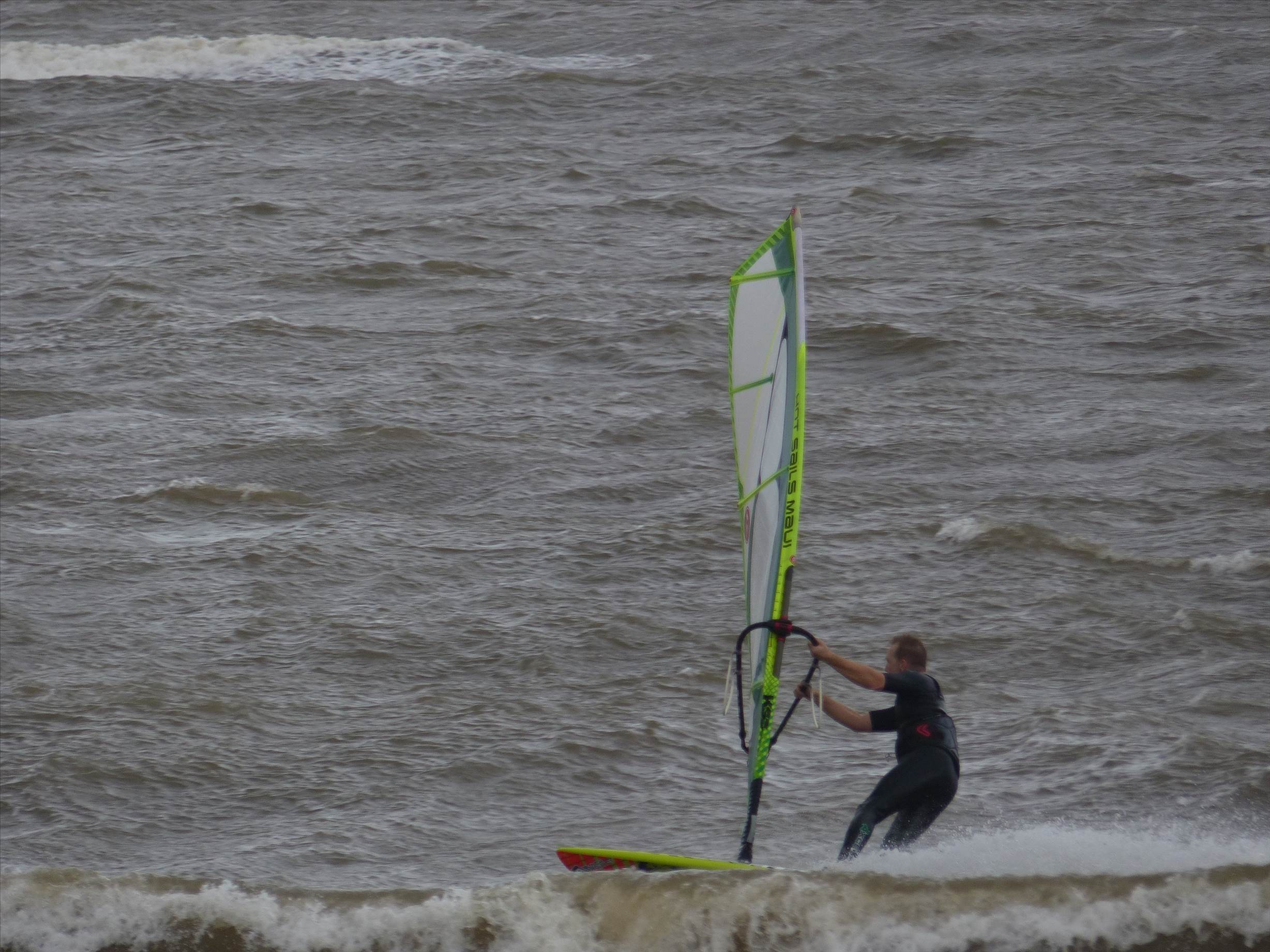 Windy