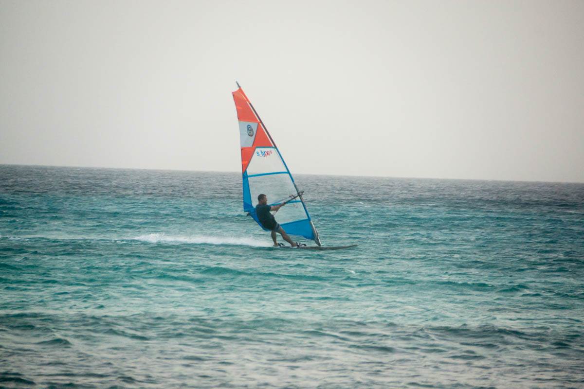 DSC09462