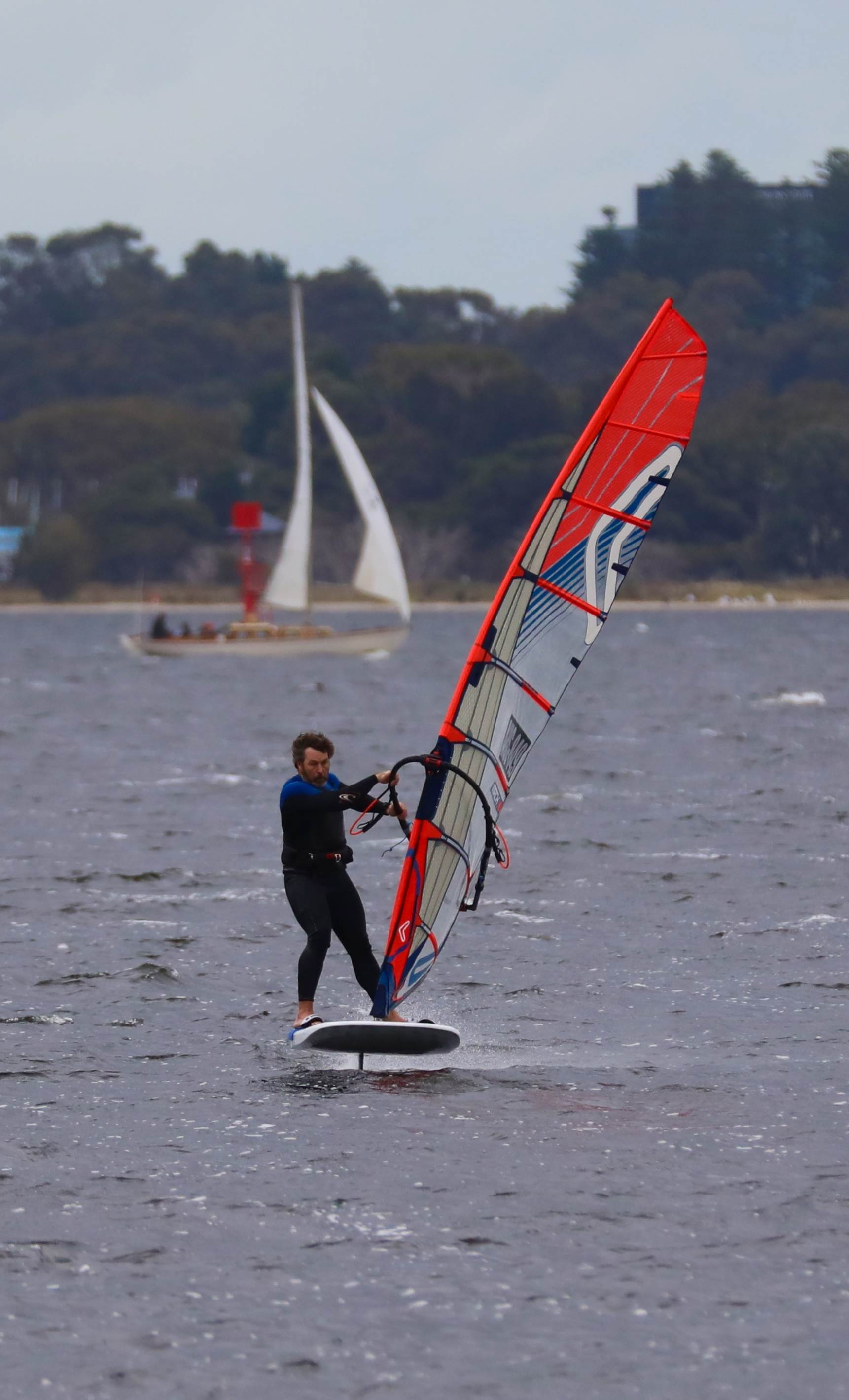 Foil Swan river