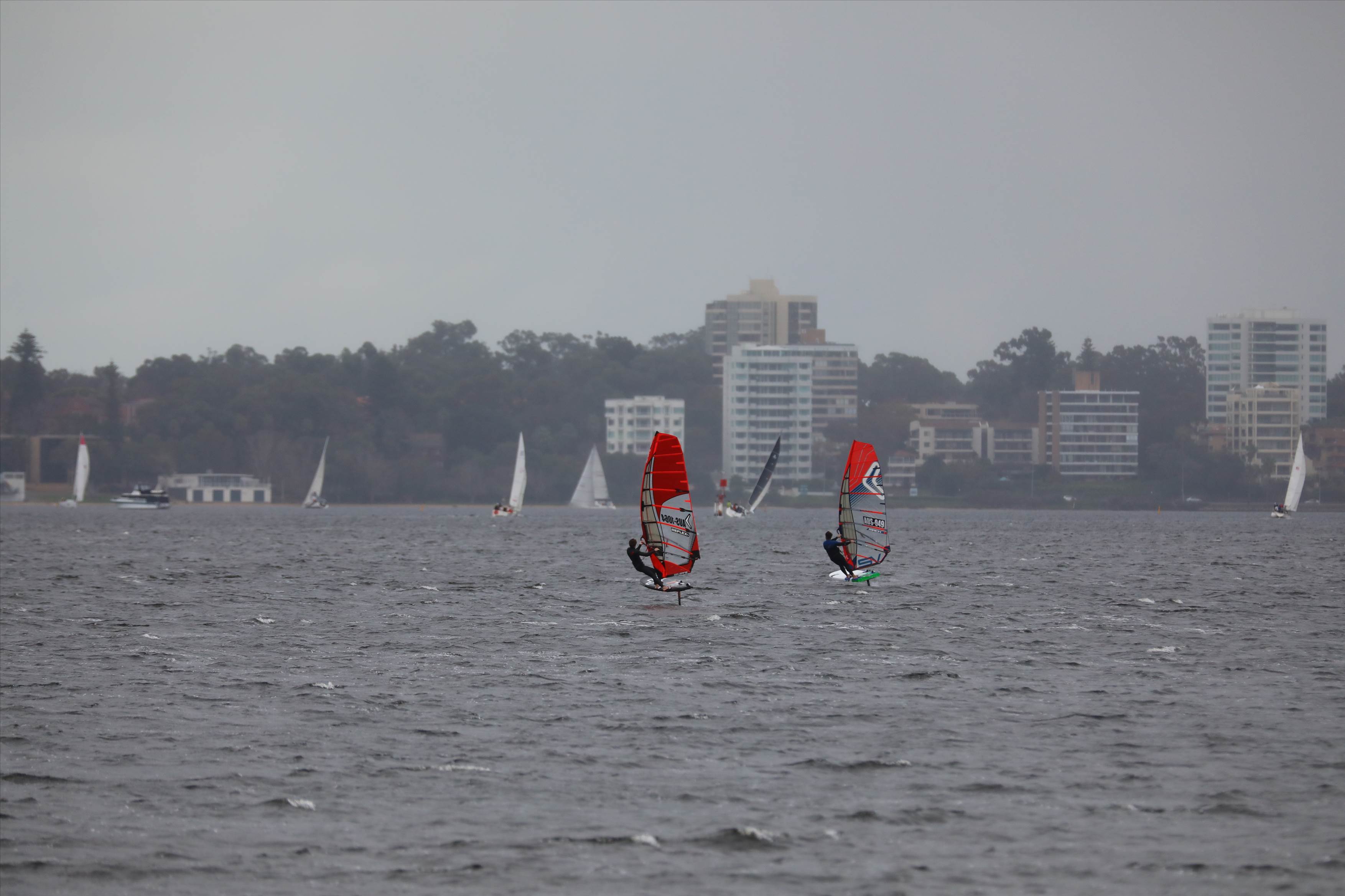 Foil Swan river
