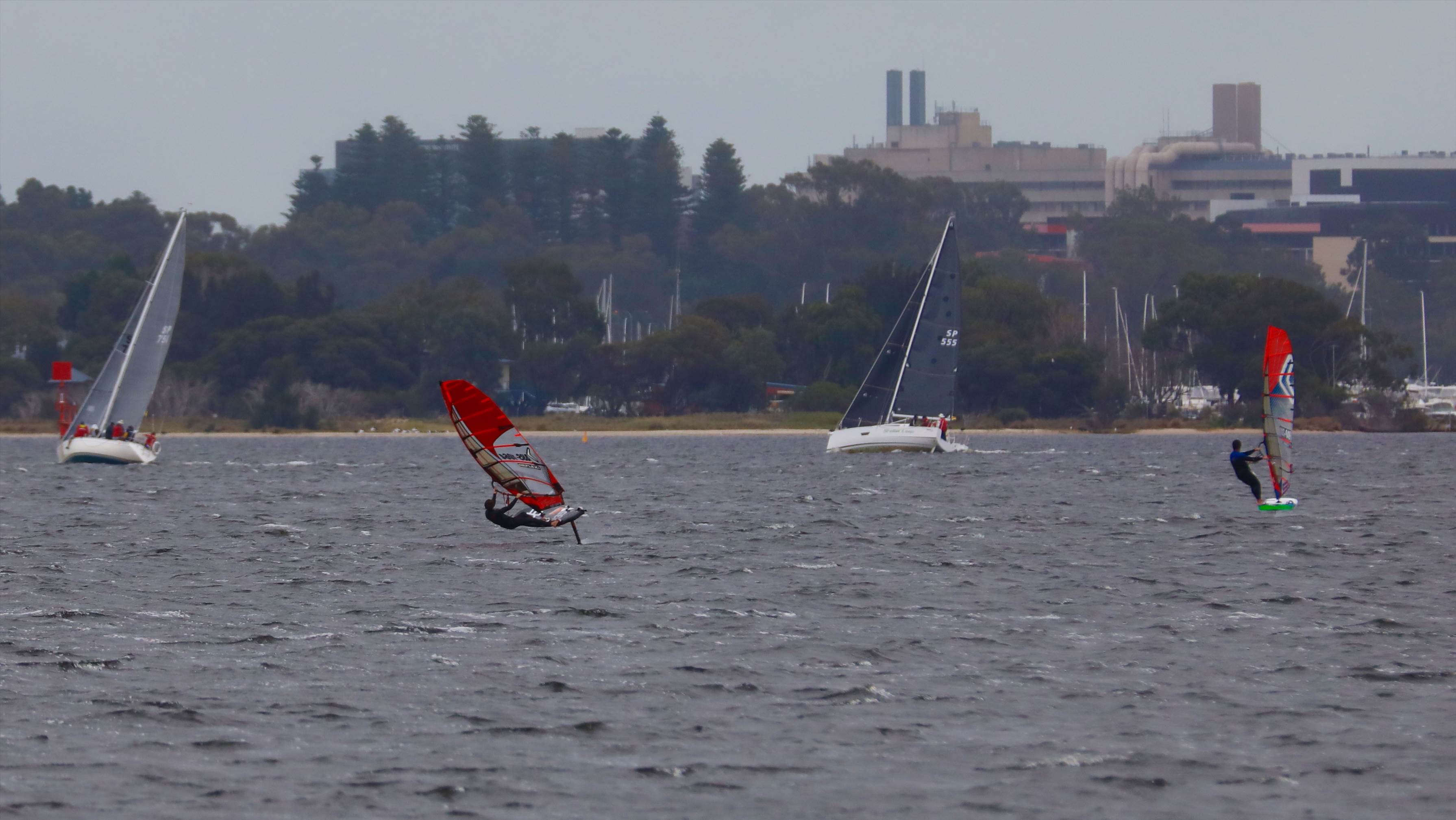 Foil Swan river