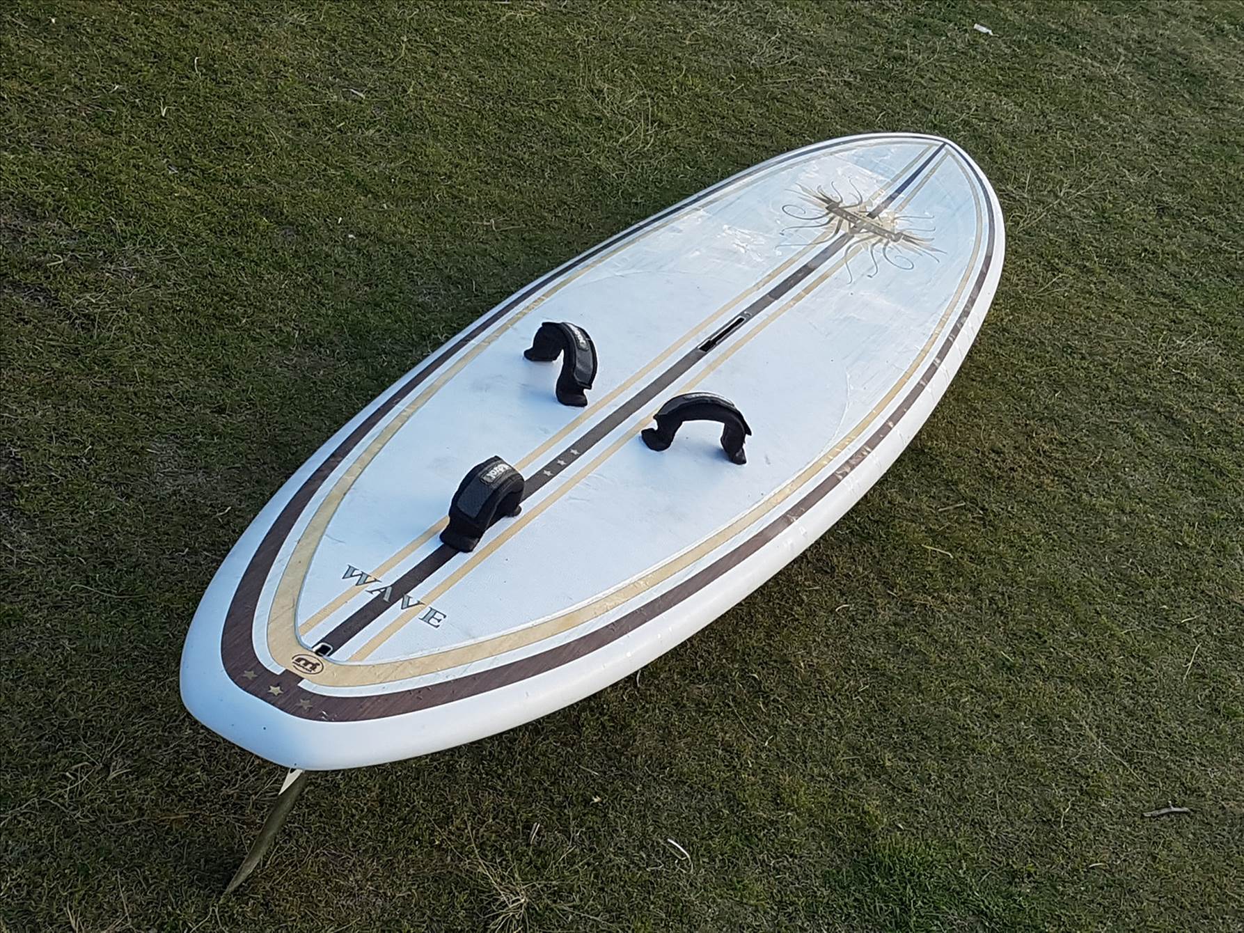 Pacifico wave