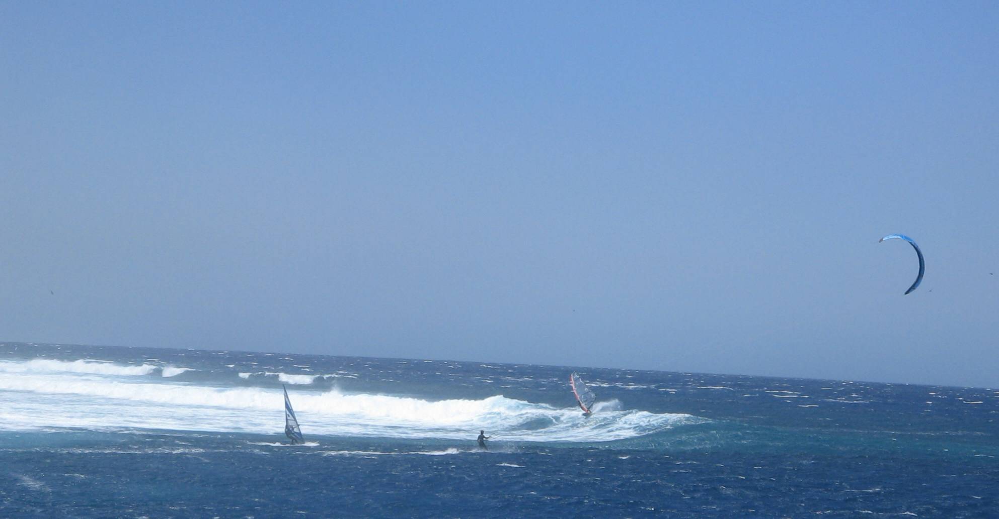 More shots from Abrolhos