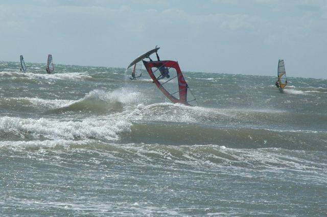 Seacliff - best day for a long time and over 2 dozen out