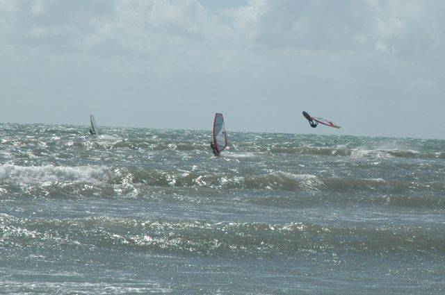 Seacliff - best day for a long time and over 2 dozen out