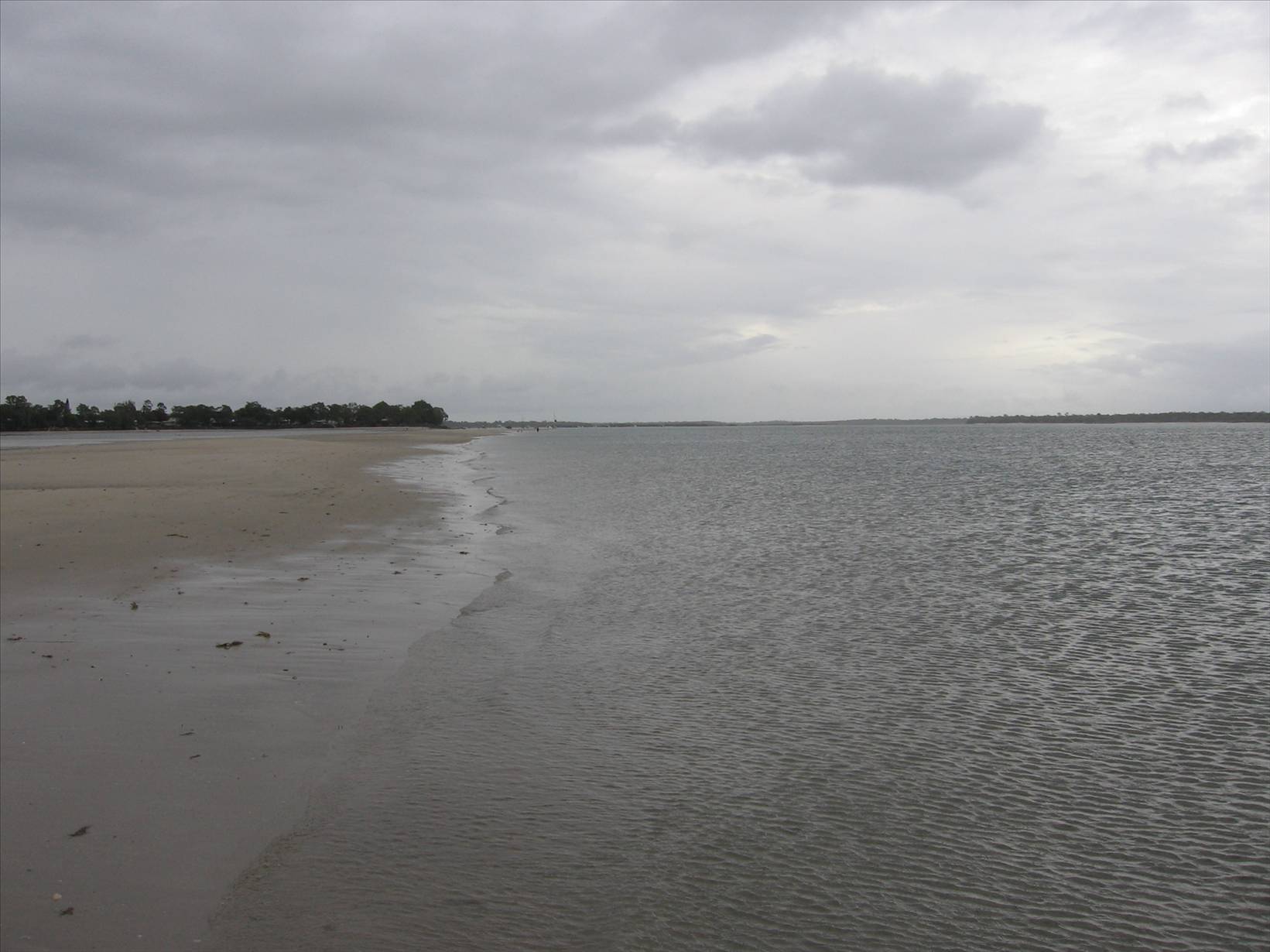 The bank