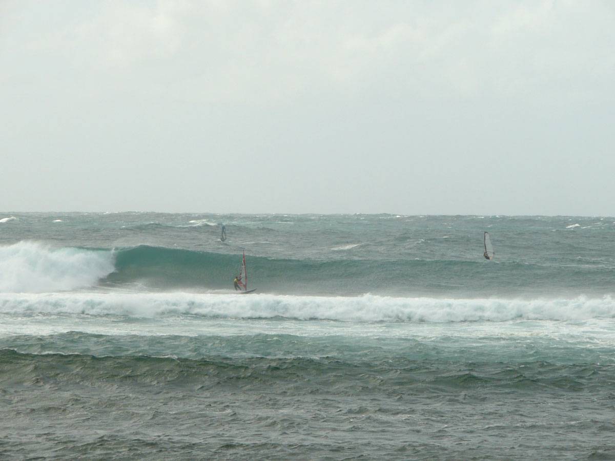 Nomadic 2008