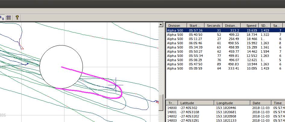 Carindales gybe at 50m