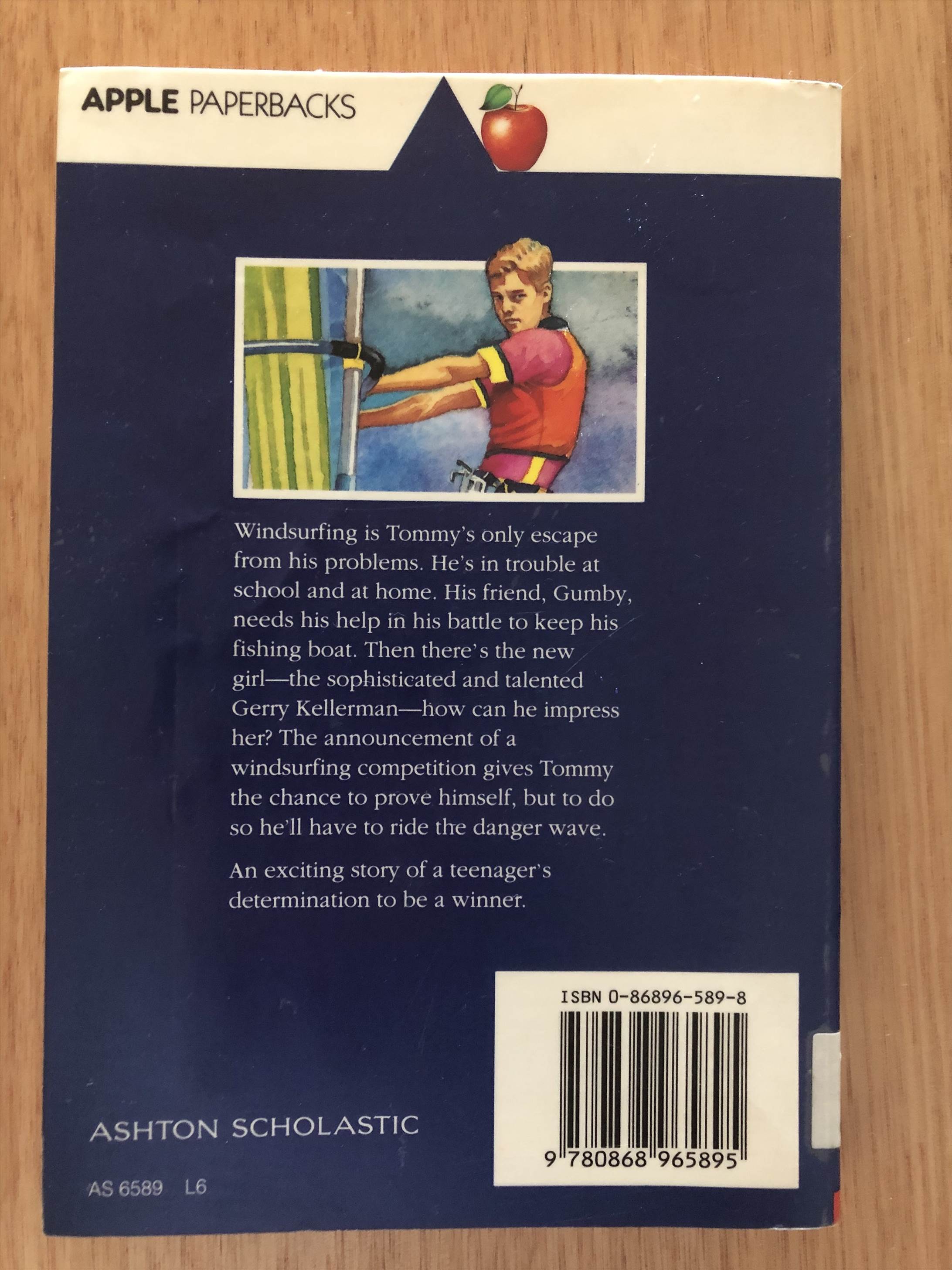 Danger Wave Book