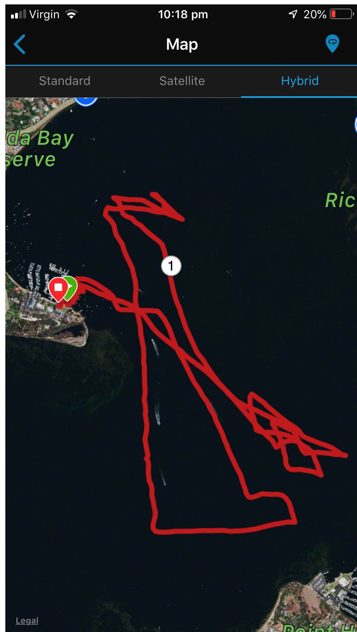 Hydra