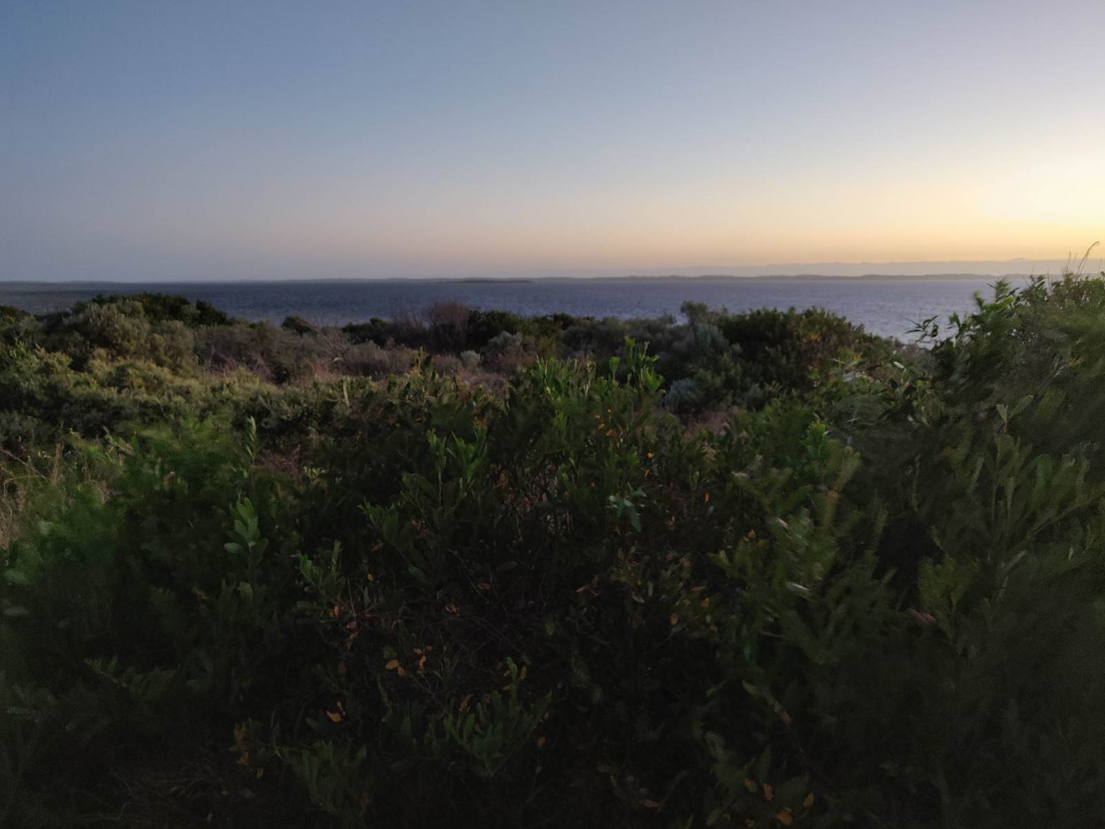 Robe - 31 Jan 19